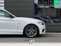 BMW 235 SERIE M235i xDrive Coup Sport F22 F87 M Performanc - thumbnail 35