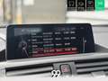 BMW 235 SERIE M235i xDrive Coup Sport F22 F87 M Performanc - thumbnail 24
