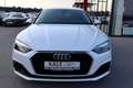 Audi A5 SB 35 TDI S-TRONIC *1.Besitz*Virtual* Weiß - thumbnail 22
