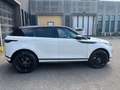 Land Rover Range Rover Evoque 2.0d i4 mhev HSE awd 240cv auto Bianco - thumbnail 6