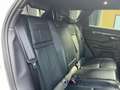 Land Rover Range Rover Evoque 2.0d i4 mhev HSE awd 240cv auto Bianco - thumbnail 12