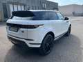 Land Rover Range Rover Evoque 2.0d i4 mhev HSE awd 240cv auto Bianco - thumbnail 8