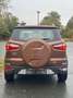 Ford EcoSport Titanium 1.Hand HU10.26 Schwingtür Braun - thumbnail 8