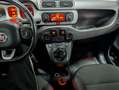 Fiat Panda Panda III 2016 4x4 0.9 t.air t. Cross 4x4 s Vert - thumbnail 11