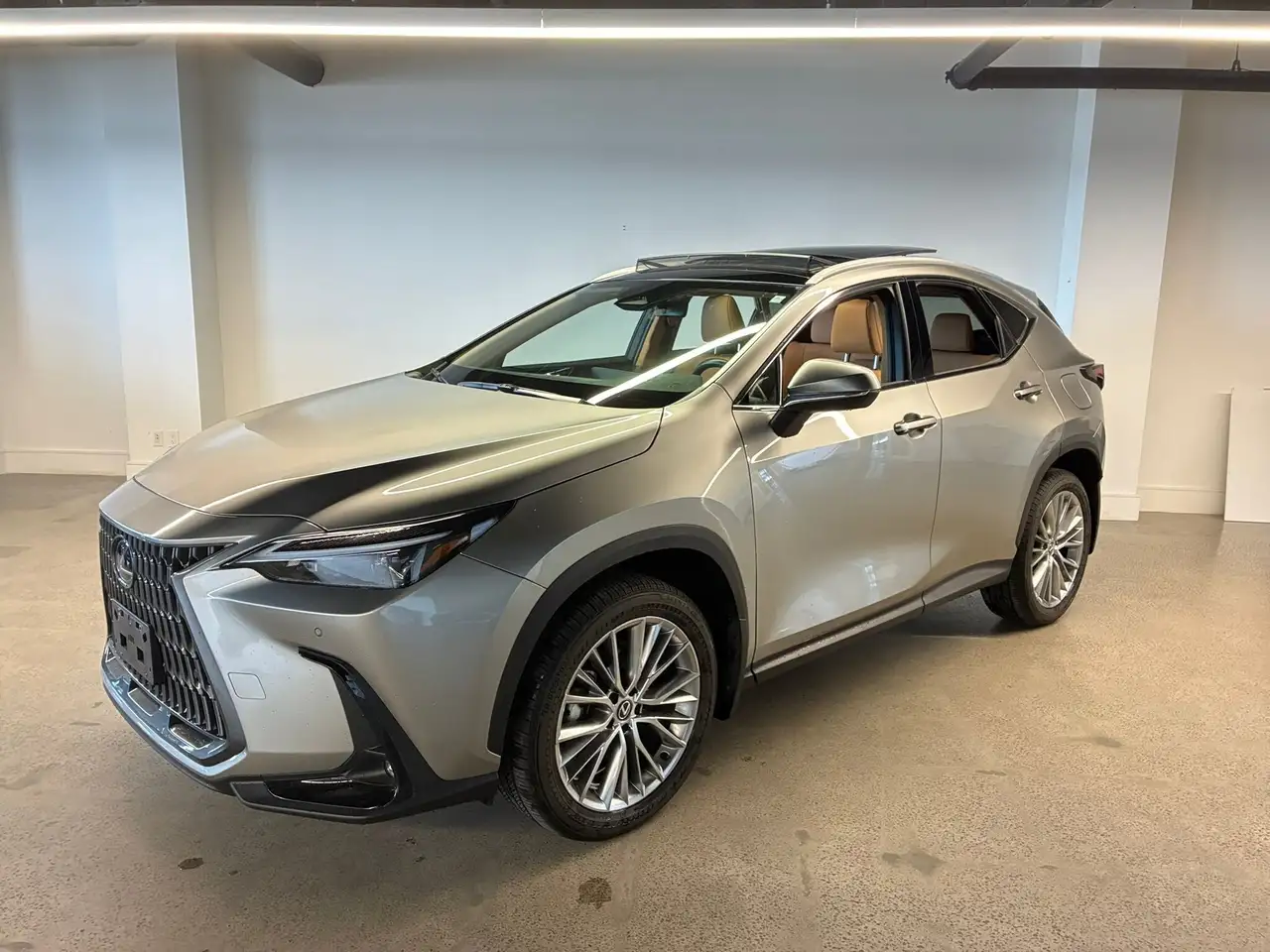 2025 Lexus NX