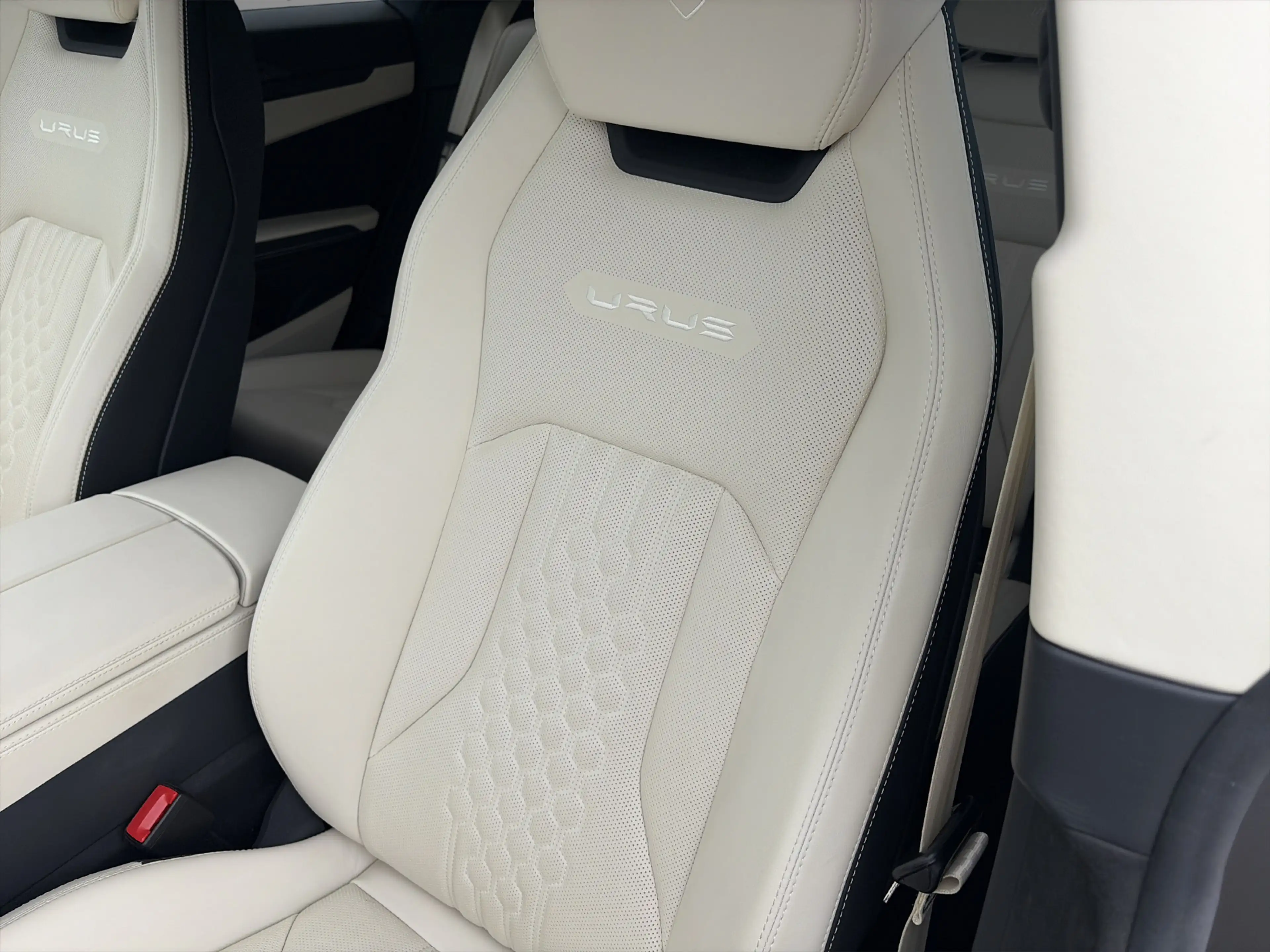 Lamborghini Urus 4.0 V8 S Full PPF, Massage, B&O 3D, 23 Inch, Grigi — photo 12