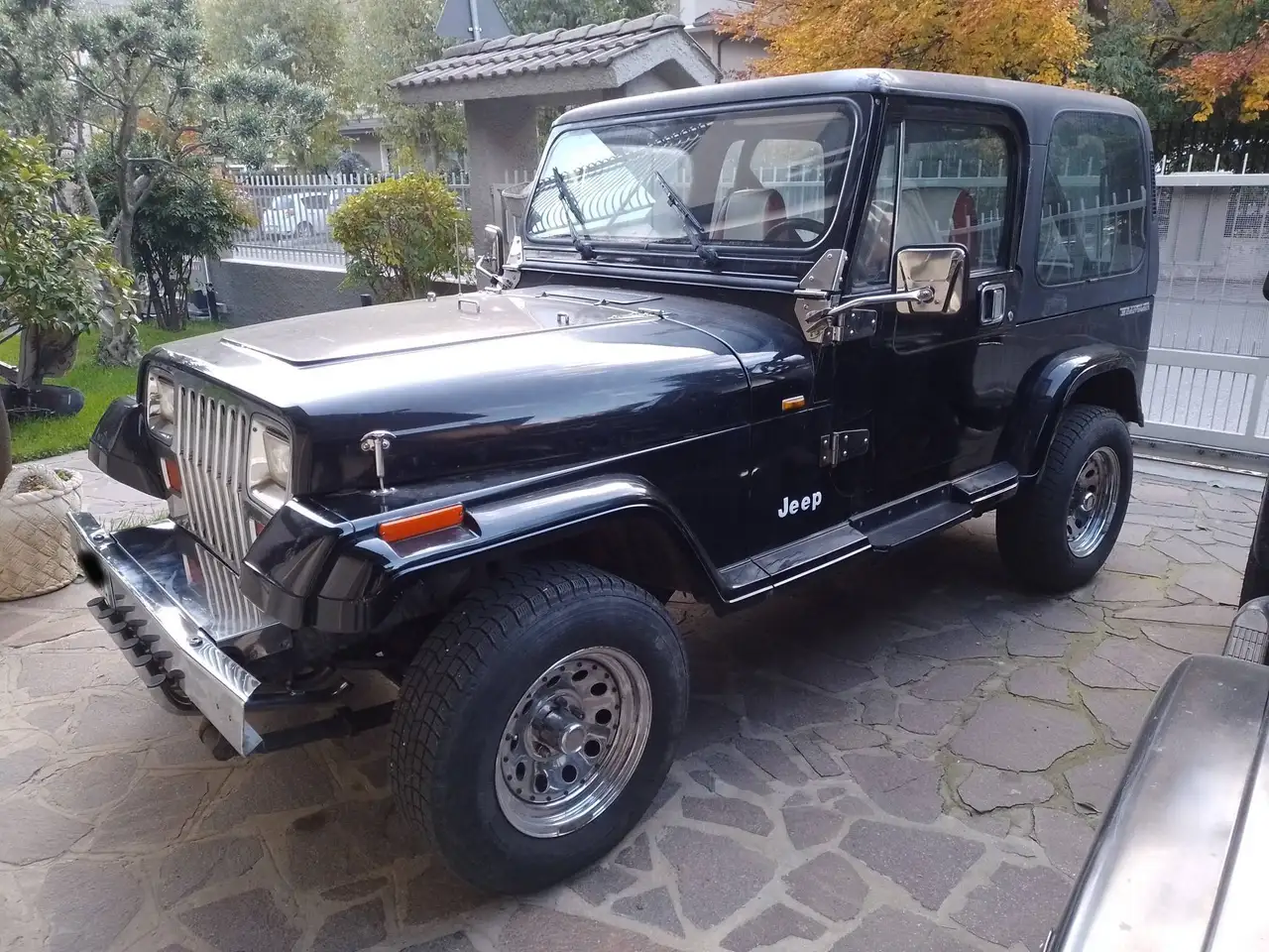 Jeep Wrangler YJ 2.5 Laredo, foto 2