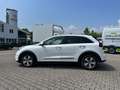 Kia Niro Spirit Plug-in Hybrid Klima Navi Leder Wit - thumbnail 2
