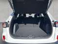 Ford Kuga 2.5 Duratec PHEV COOL&CONNECT *NAVI* Bianco - thumbnail 5
