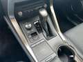 Lexus NX 300h Executive Line AWD + CARPLAY Білий - thumbnail 23