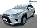 Lexus NX 300h Executive Line AWD + CARPLAY Білий - thumbnail 1