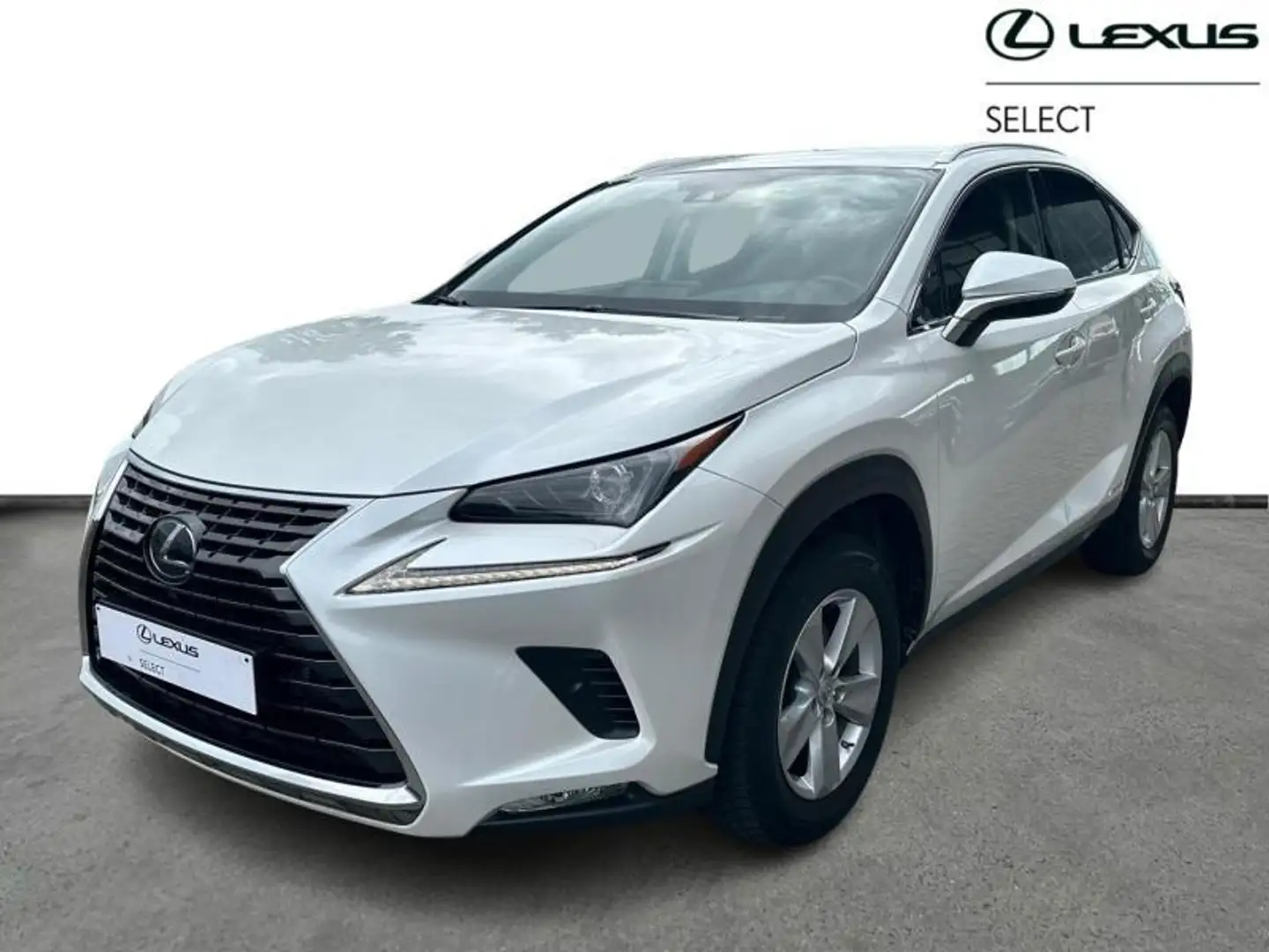 Lexus NX 300h Executive Line AWD + CARPLAY Білий - 1