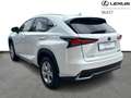 Lexus NX 300h Executive Line AWD + CARPLAY Білий - thumbnail 3