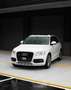 Audi SQ5 3.0 TDI 313CV quattro tiptronic Blanco - thumbnail 1