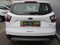 Ford Kuga 1.5 EcoBoost Trend PDC S-Sitz Weiß - thumbnail 6