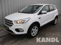 Ford Kuga 1.5 EcoBoost Trend PDC S-Sitz Weiß - thumbnail 1
