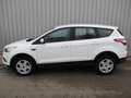 Ford Kuga 1.5 EcoBoost Trend PDC S-Sitz Weiß - thumbnail 4