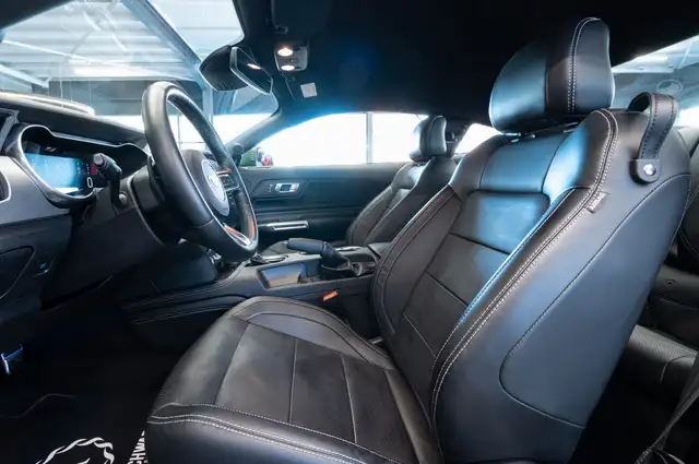 Ford Mustang view 13
