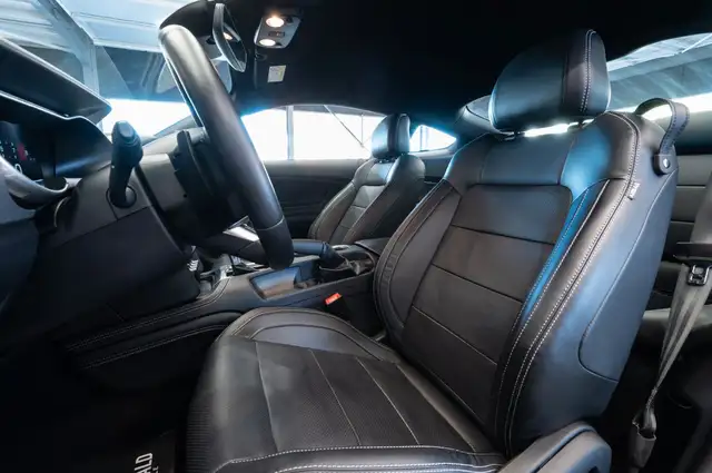Ford Mustang view 14