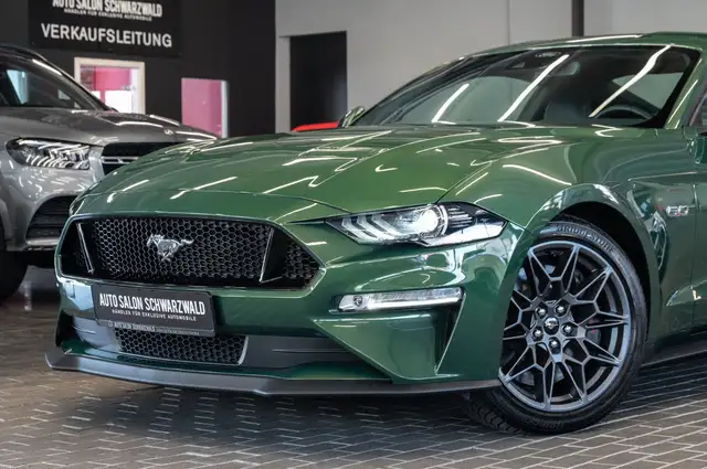Ford Mustang view 3