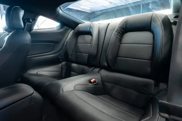 Ford Mustang view 15