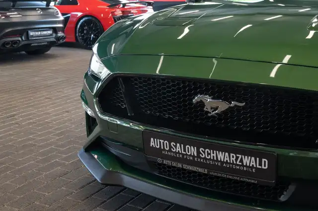 Ford Mustang view 11