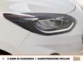 Ford Fiesta 5p 1.1 titanium gpl 75cv GPL Weiß - thumbnail 13