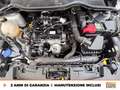 Ford Fiesta 5p 1.1 titanium gpl 75cv GPL Weiß - thumbnail 12