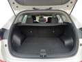 Hyundai TUCSON 1.6 TGDI Link 4x2 176 Blanc - thumbnail 22