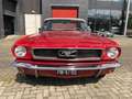 Ford Mustang 3.3 6 Cilinder Automaat Cabriolet Rot - thumbnail 3