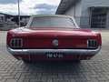 Ford Mustang 3.3 6 Cilinder Automaat Cabriolet Rot - thumbnail 5
