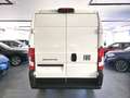 Fiat Ducato 2.2 MJT 140 CV MH2 33q Furgone KM0 MY26 Blanco - thumbnail 13
