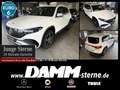 Mercedes-Benz EQB 300 EQB 300 4M AMG Premium/7-Sitze/360°/Memory/+Flex Weiß - thumbnail 1