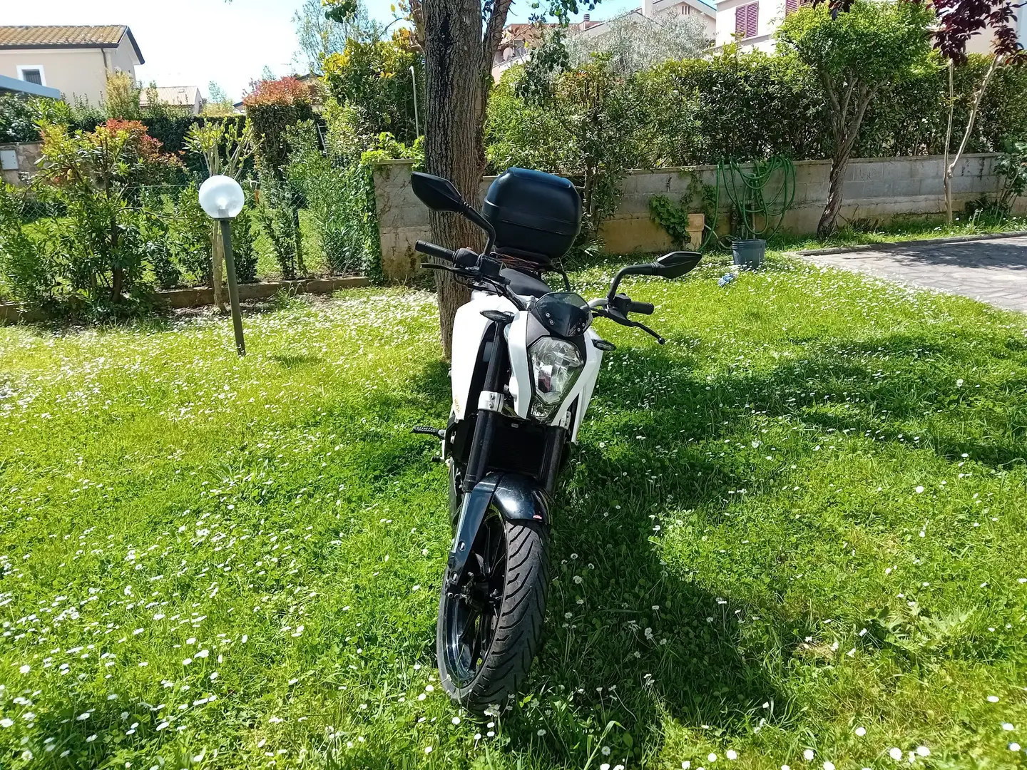 KTM 125 Duke bijela - 1