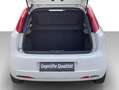 Fiat Grande Punto 1,2**1JAHR-GARANTIE*NEUES-PICKERL 2/27*MOD2011 Weiß - thumbnail 16