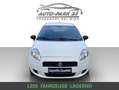 Fiat Grande Punto 1,2**1JAHR-GARANTIE*NEUES-PICKERL 2/27*MOD2011 Weiß - thumbnail 3