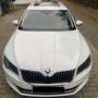 Skoda Superb Combi 2.0 TDI DSG L&K - thumbnail 6