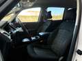 Ford Galaxy Trend Weiß - thumbnail 12