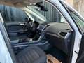 Ford Galaxy Trend Weiß - thumbnail 15