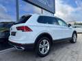 Volkswagen Tiguan 4Motion 2.0 TDI/DSG/R-Line Felge//KAM/AHK Weiß - thumbnail 3