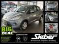 Ford Ka/Ka+ Ka 1.2 Cool & Sound Edition SHZ Winterp. Gris - thumbnail 1