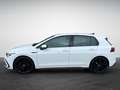 Volkswagen Golf 8 GTI 2.0 TSI DSG Weiß - thumbnail 4