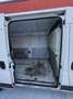Citroen Jumper Jumper 35 L2H2 2.0 bluehdi 130cv E6   Bianco - thumbnail 25