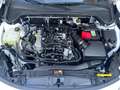 Ford Focus 1.0 EcoBoost Mild-Hybrid ST-Line - ACC*LED Wit - thumbnail 19