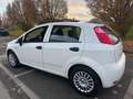 Fiat Punto 5p 1.3 mjt II 16v Lounge eco s&s 85cv - thumbnail 4