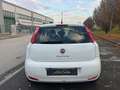 Fiat Punto 5p 1.3 mjt II 16v Lounge eco s&s 85cv - thumbnail 5