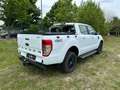 Ford Ranger XLT Doppelkabine 4x4*Klima*AHK Weiß - thumbnail 3