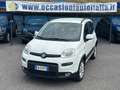 Fiat Panda 0.9 t.air t. natural power Trekking 80cv Bianco - thumbnail 1