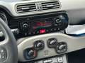 Fiat Panda 0.9 t.air t. natural power Trekking 80cv Bianco - thumbnail 10