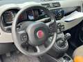 Fiat Panda 0.9 t.air t. natural power Trekking 80cv Bianco - thumbnail 7